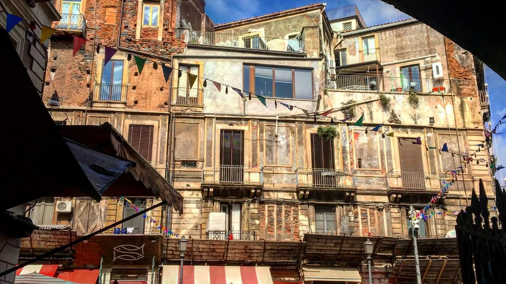 Bloom House Daire Katanya